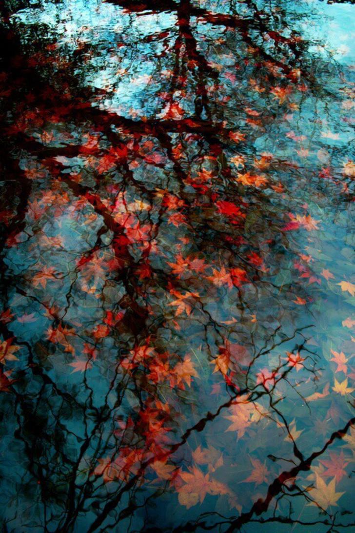 Autumn Mobile Wallpaper Free Autumn Mobile Background