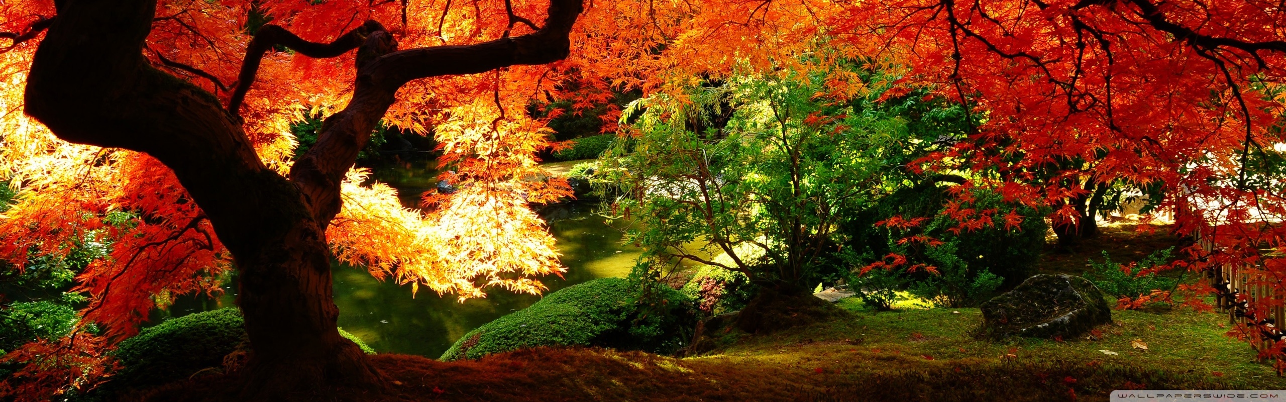 Wide Autumn Wallpapers - Wallpaper Cave