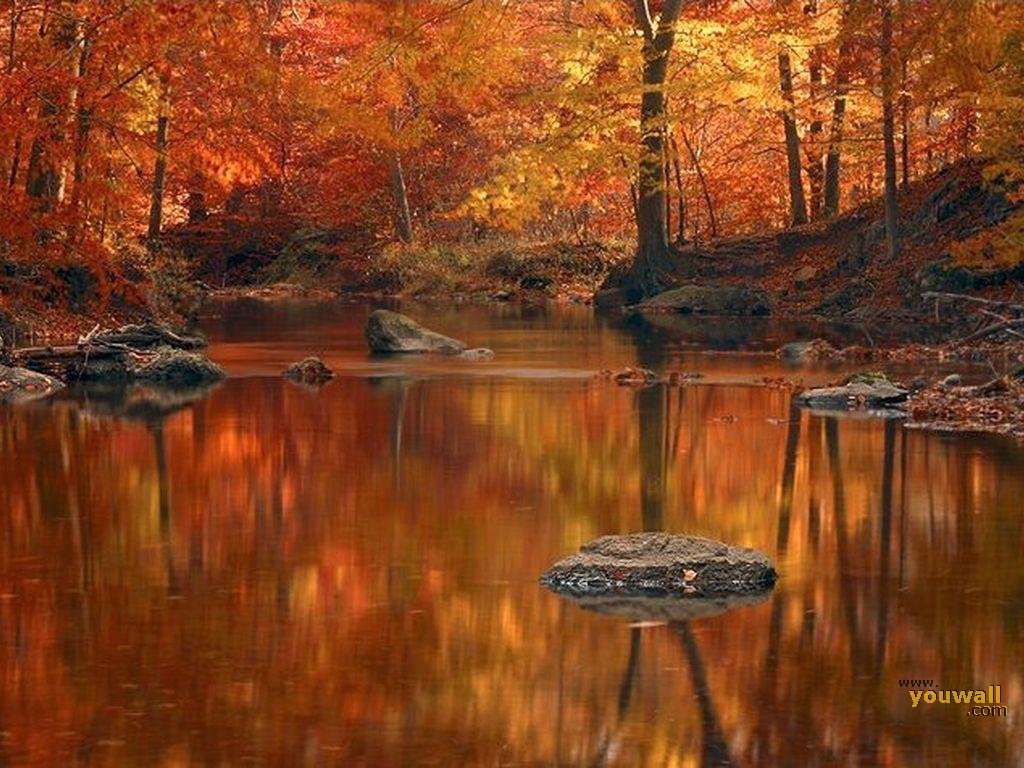 Free download Autumn Wallpaper HD Widescreen Desktop [1024x768] for your Desktop, Mobile & Tablet. Explore HD Wide Fall Wallpaper. Free Fall Wallpaper For Desktop, Free Fall Wallpaper