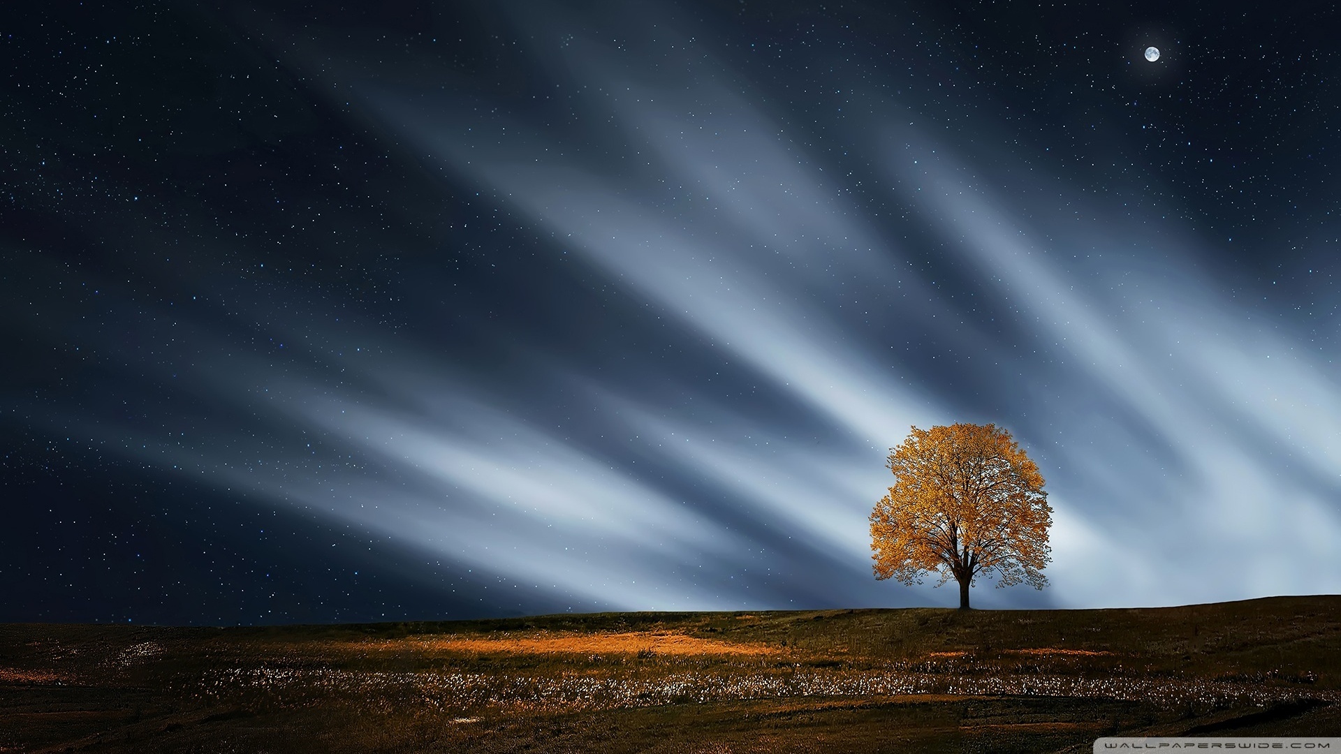 Autumn Sky Ultra HD Desktop Background Wallpaper for 4K UHD TV, Widescreen & UltraWide Desktop & Laptop, Tablet