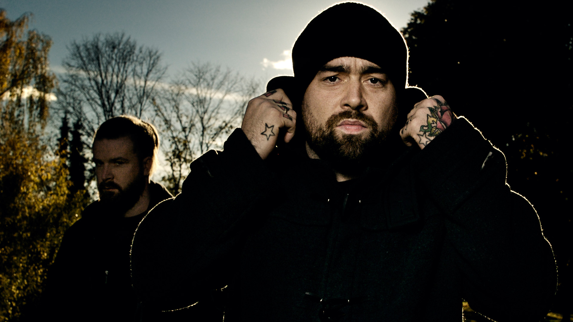 Ulver