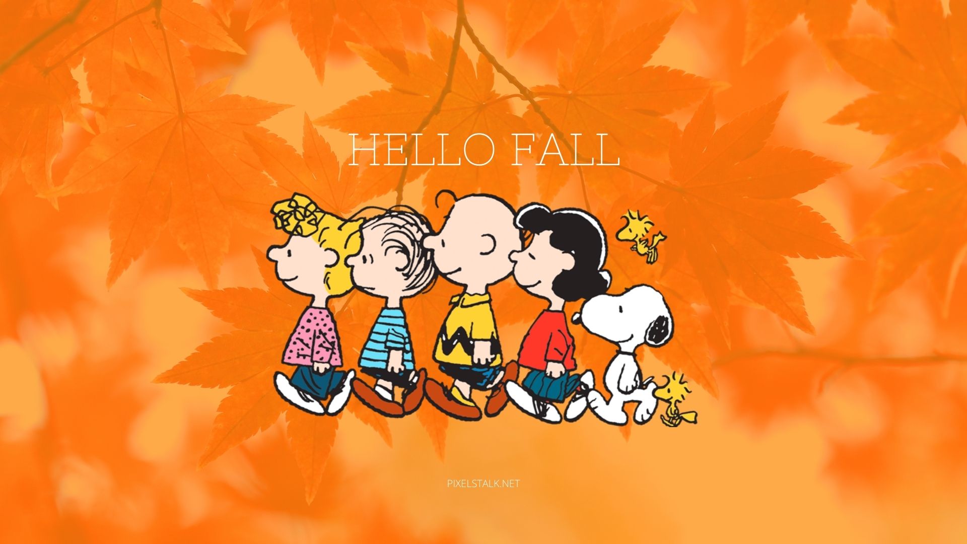 Fall Snoopy Wallpapers - Wallpaper Cave