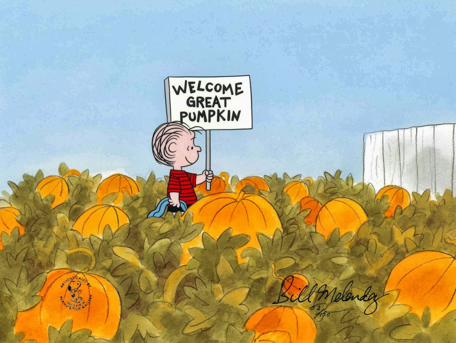 pumpkin, Patch, Halloween, Autumn, Peanuts Wallpaper HD / Desktop and Mobile Background