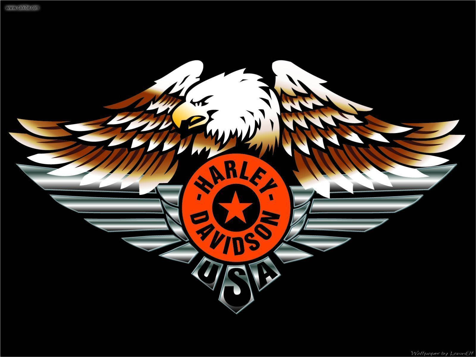 Download Us Eagle Harley Davidson Logo Wallpaper