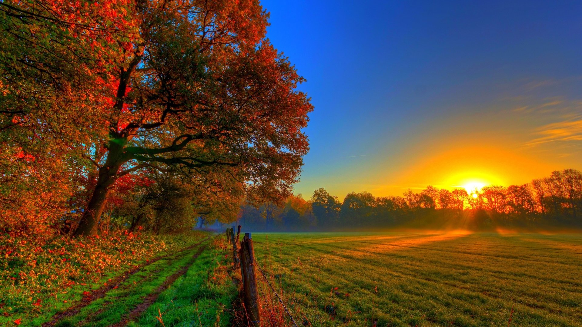 Fall Field Sky Sunset HD WALLPAPER