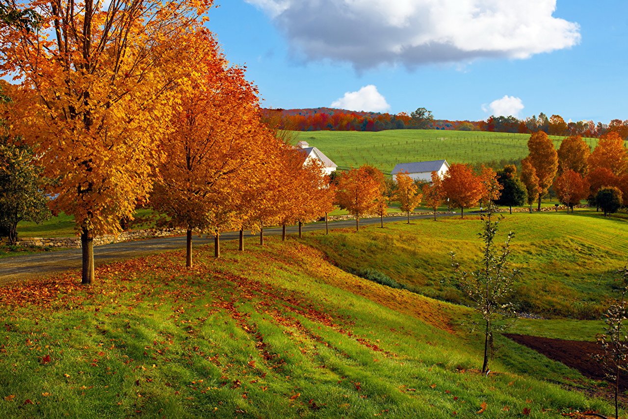 Photos Autumn Nature Fields Trees Seasons
