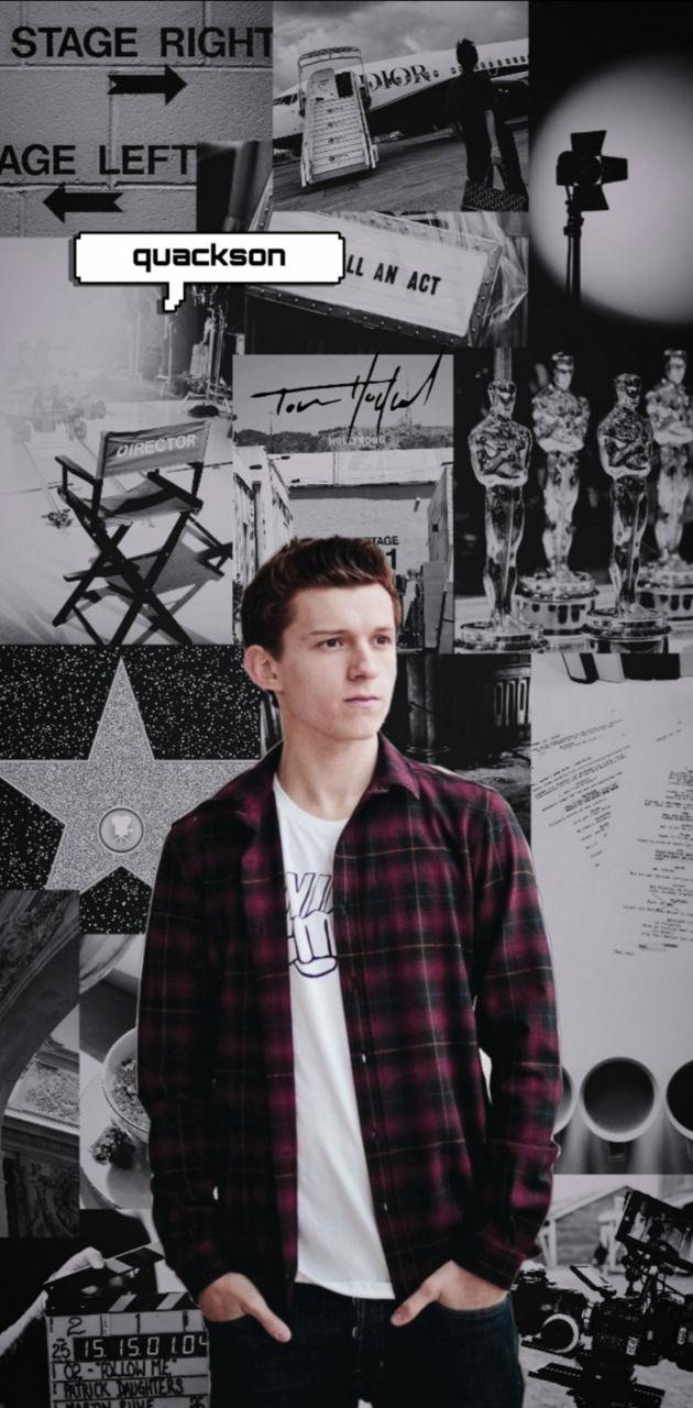 Tom Holland wallpaper