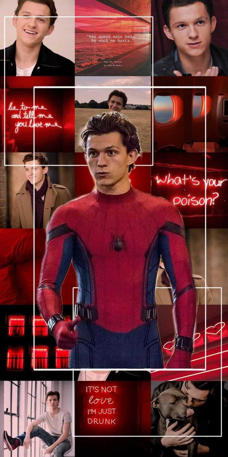 Tom Holland Wallpaper