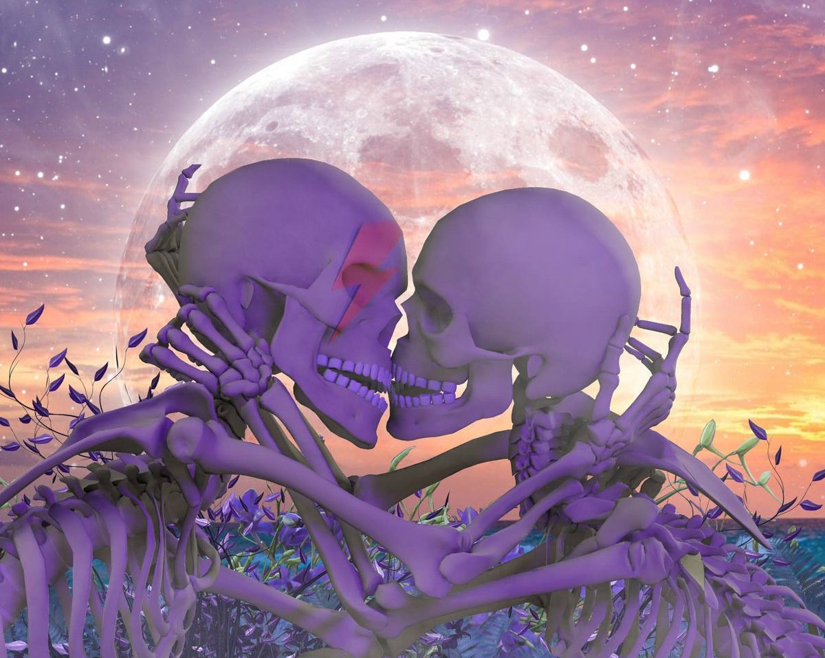 Skeleton Couple Images  Browse 6233 Stock Photos Vectors and Video   Adobe Stock