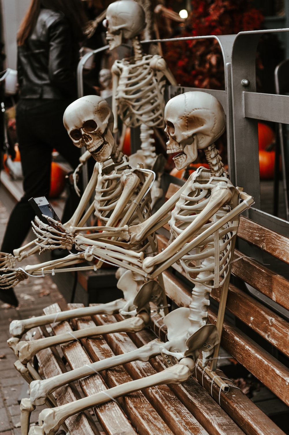 skeleton on rack wallpaper photo