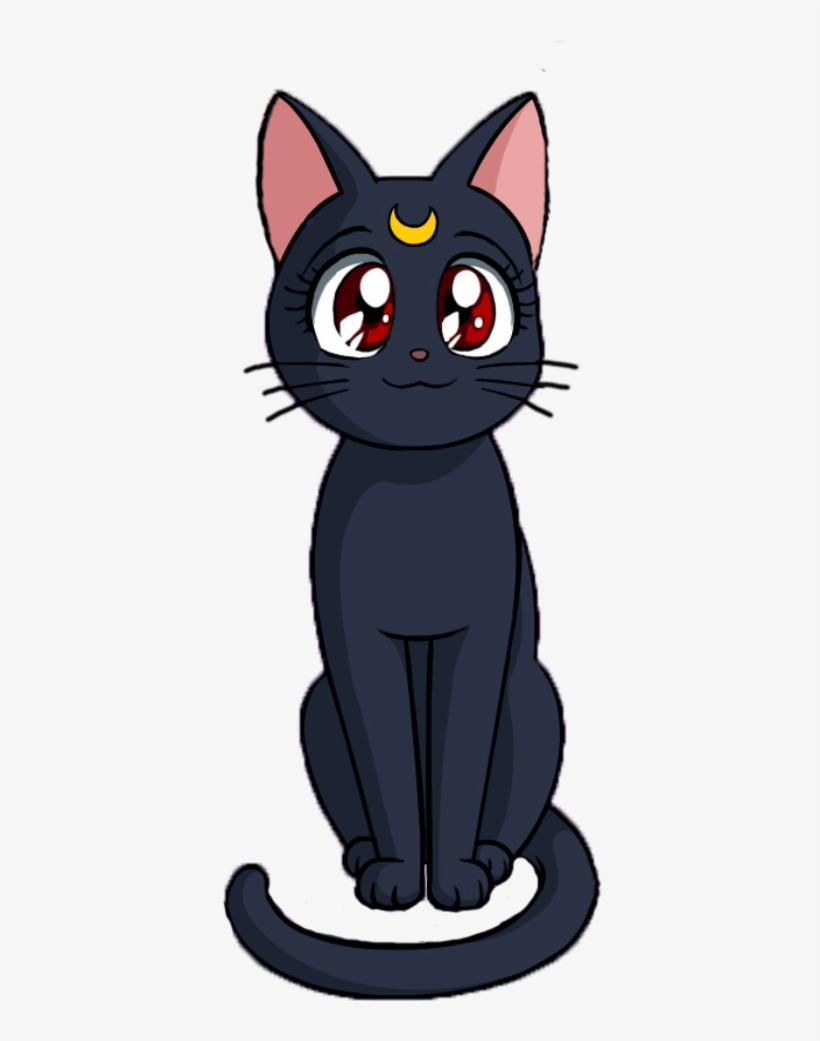 Sailor Moon Cat Png Sailor Moon Cat PNG Image. Transparent PNG Free Download on SeekPNG