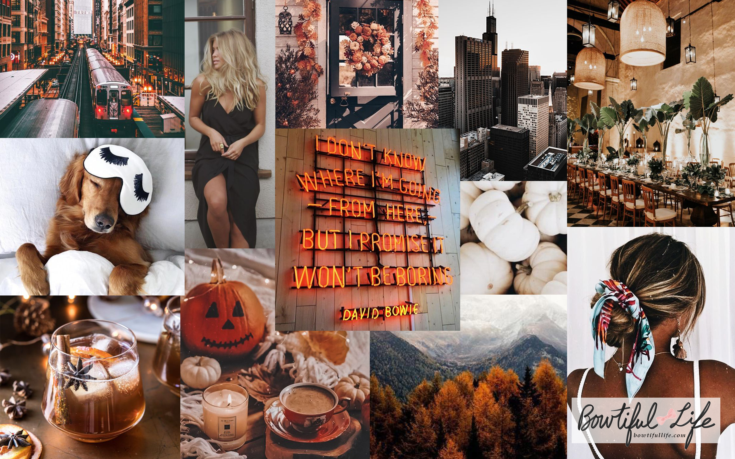 It Won't Be Boring” Bowtiful Wallpaper