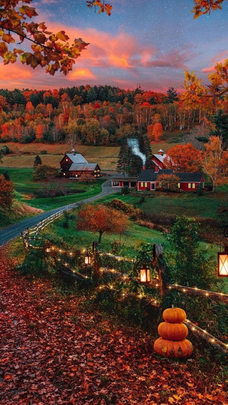 Autumn love cozy fall HD phone wallpaper  Peakpx