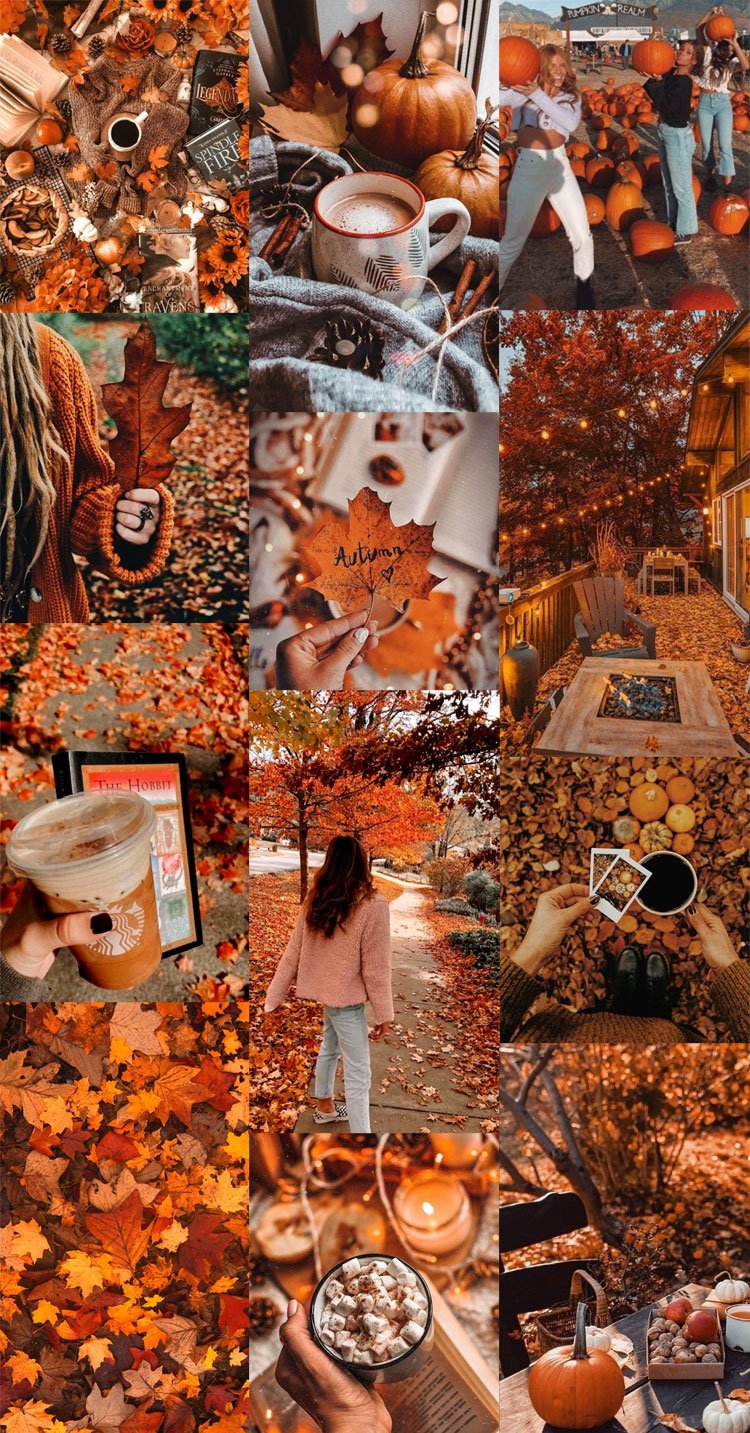 Autumn Collage Wallpaper, Cozy Autumn Pumpkin