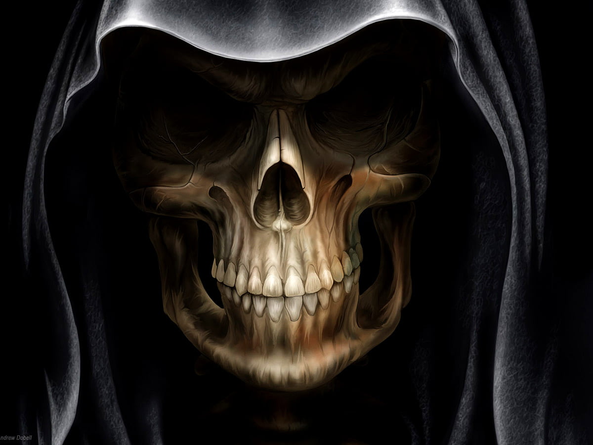 Skull wallpaper HD. Download Free background