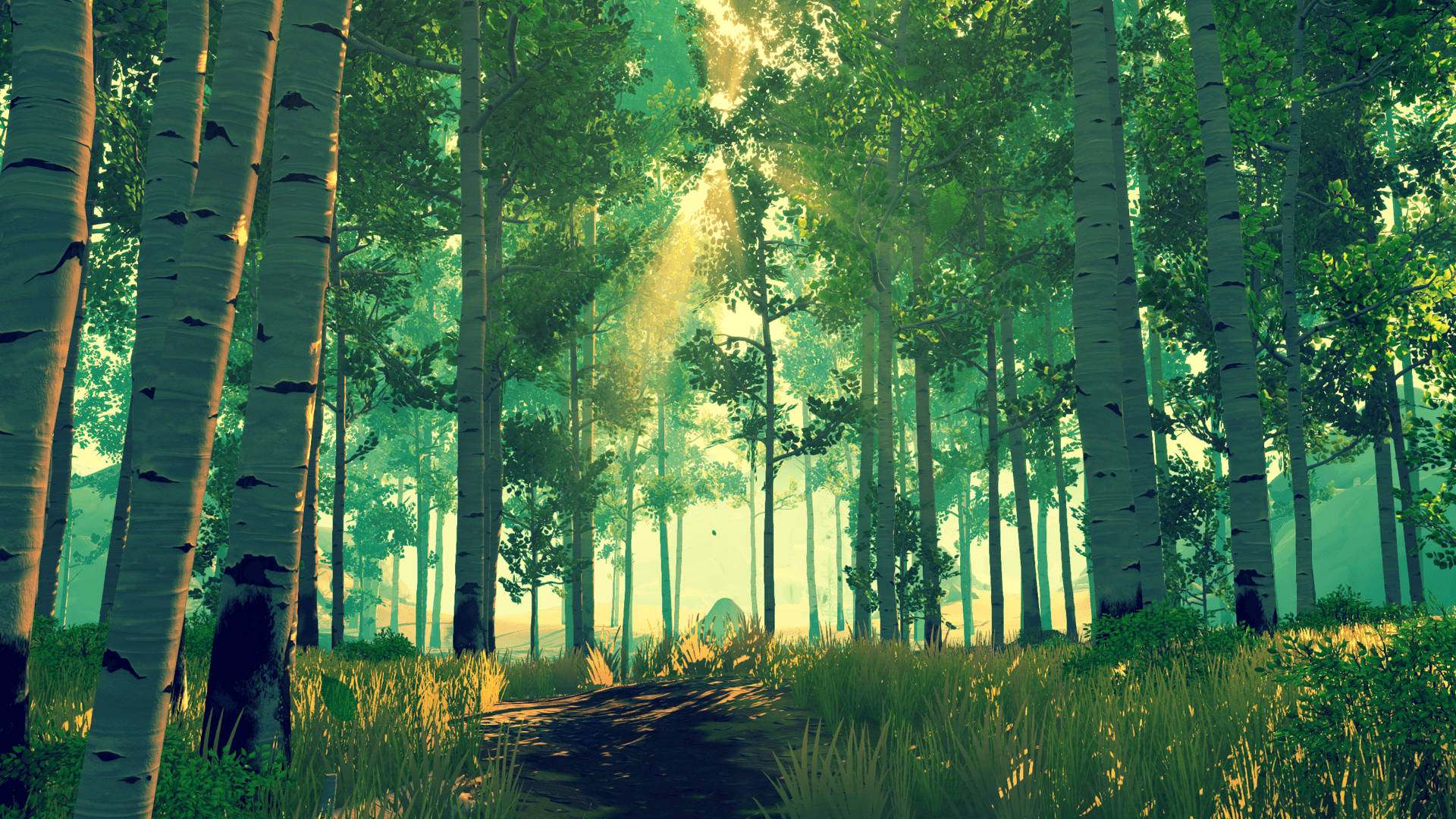 Forest Wallpaper & Background For FREE