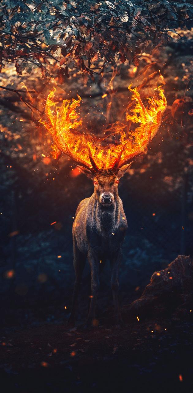 Horns on Fire wallpaper