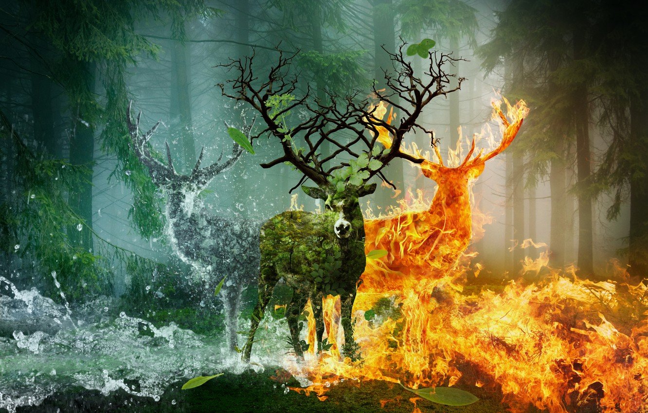 Wallpaper Water, Fire, Animals, Deer, Fiction, Horn earth image for desktop, section рендеринг