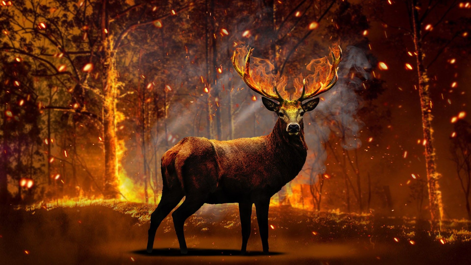 Fire Deer. Photohop, Photohop tutorial, Moose art