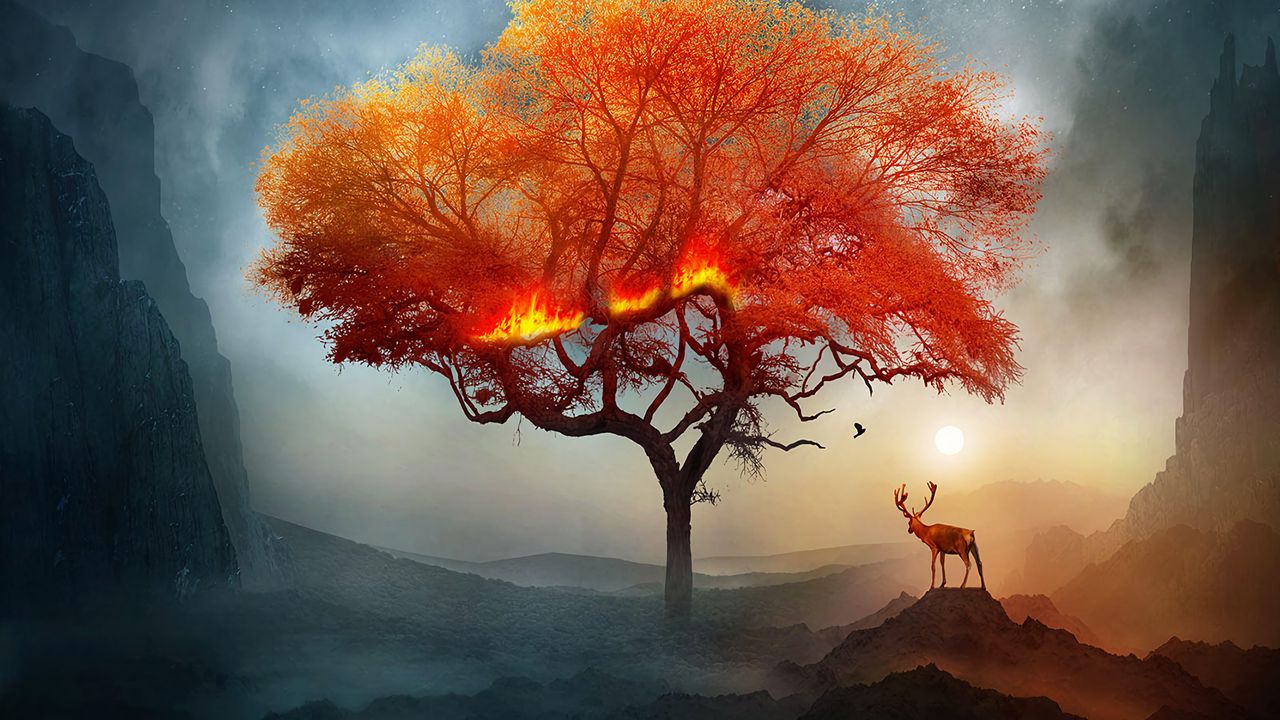 Wallpaper deer, tree, art, fire, fantastic hd, picture, image