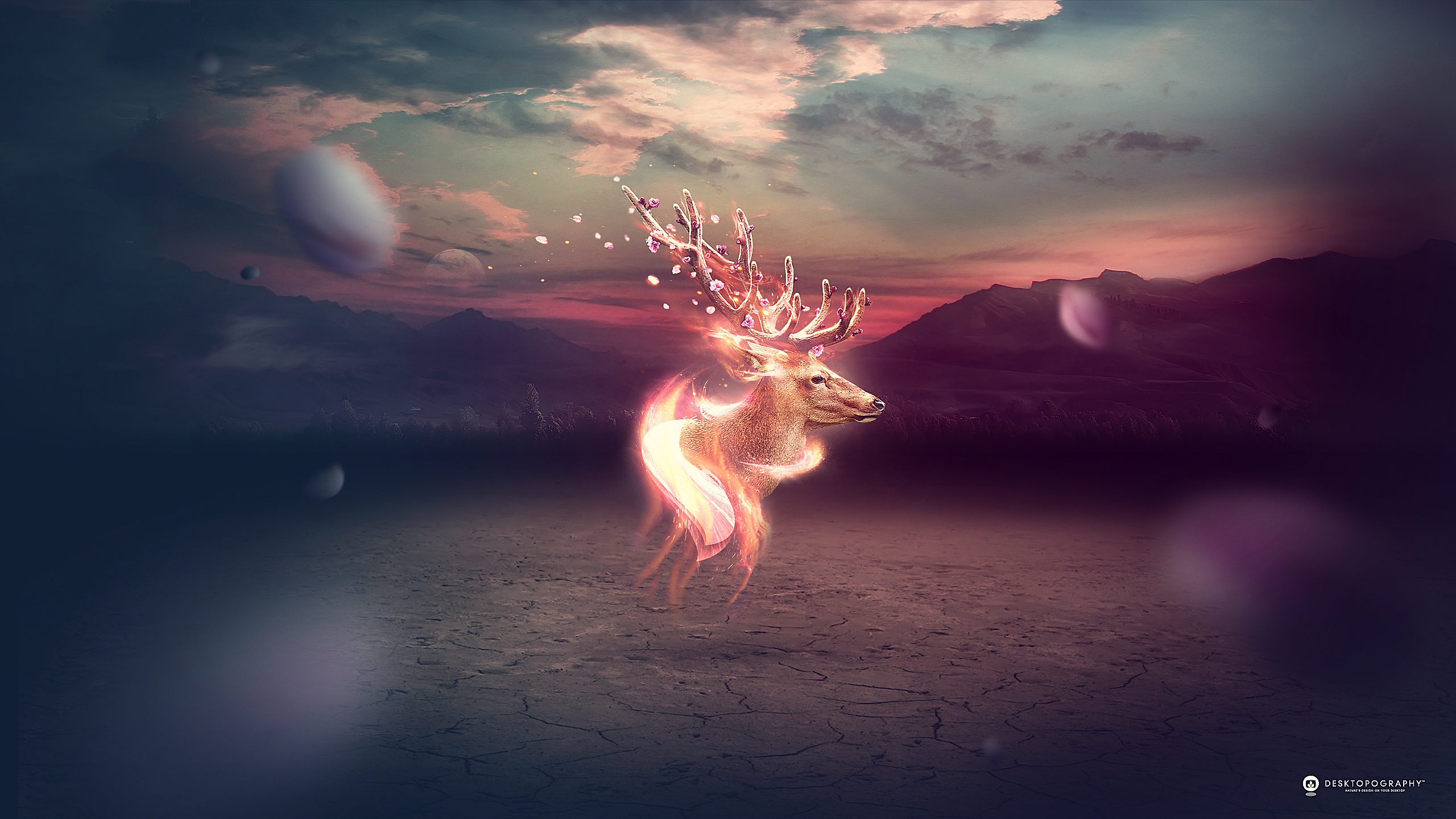 Fantasy Deer HD Wallpaper