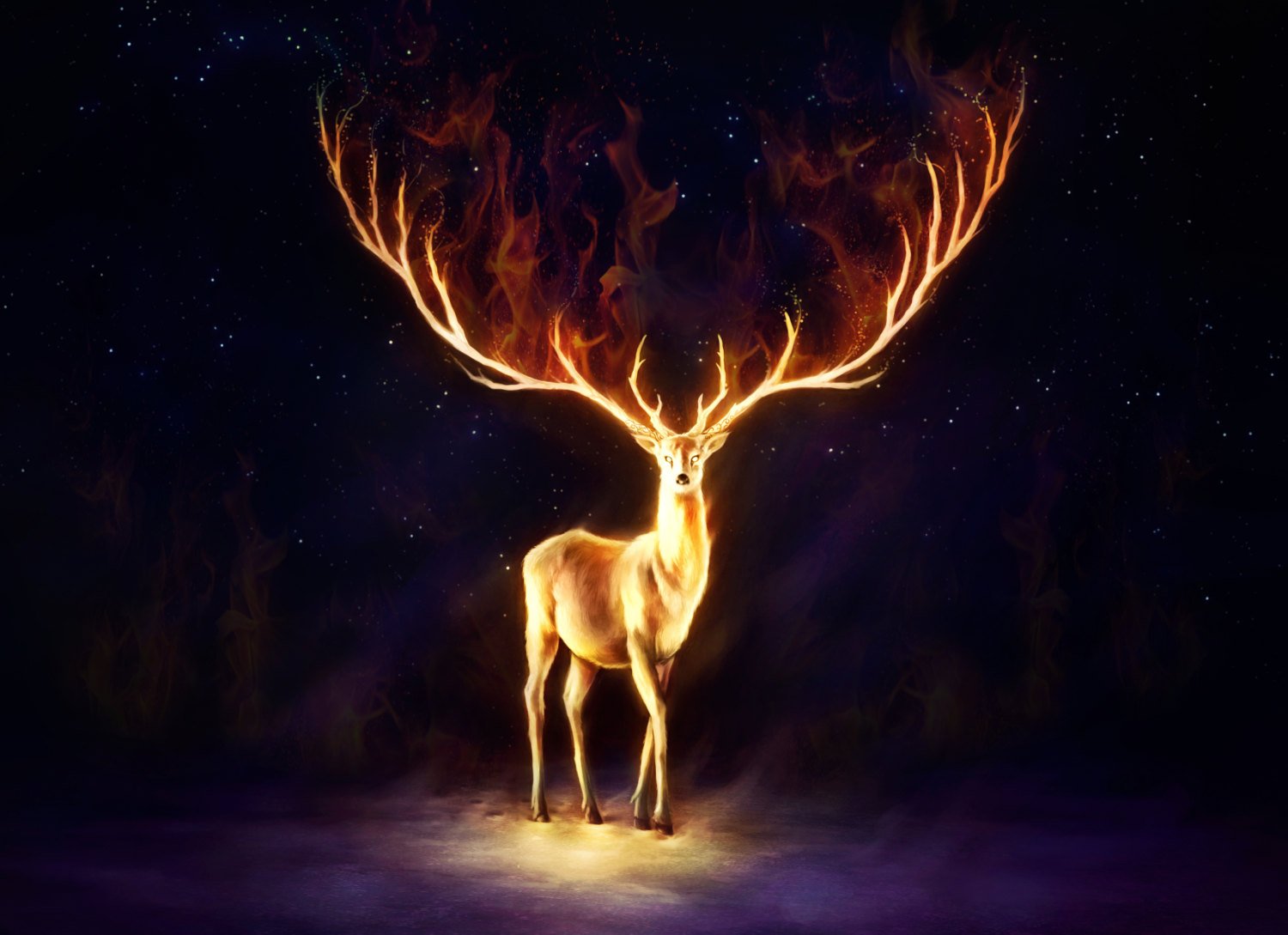 Fire deer wallpaperx1089