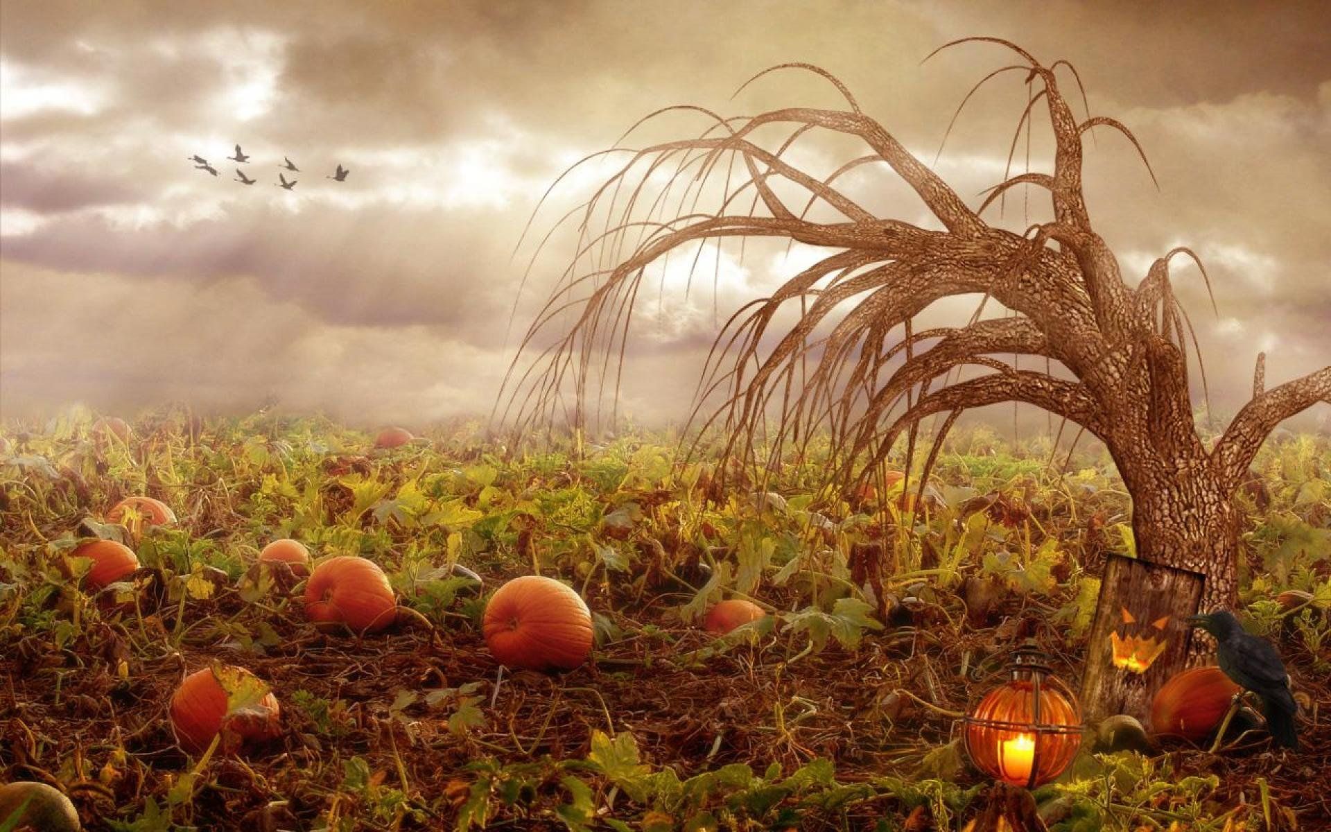 Autumn Halloween Wallpaper for Windows Free Download