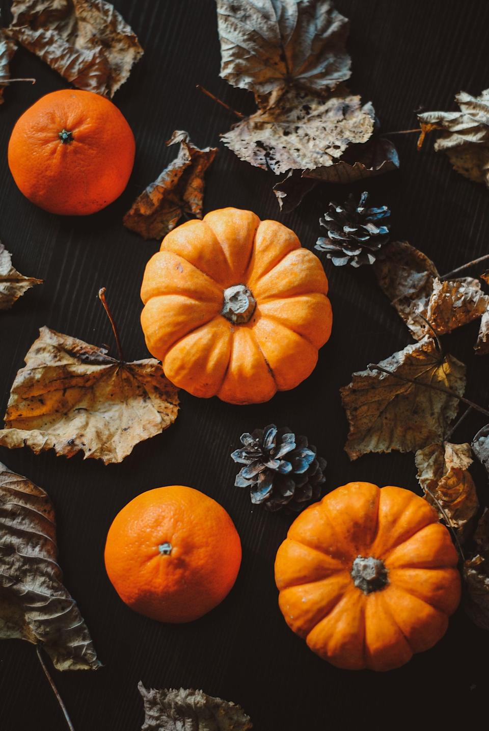 Fall iPhone Wallpaper That'll Instantly Make You Feel Cozy