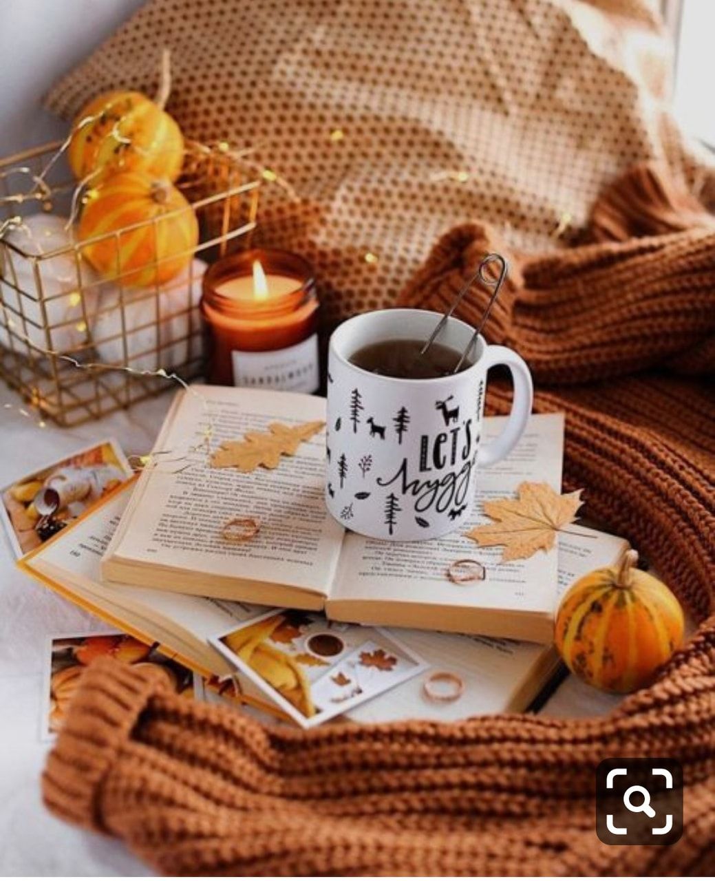 Shared by Camilla. Find image and videos about book, autumn and fall app to get lost in w. Autumn cozy, Autumn photography, Autumn aesthetic