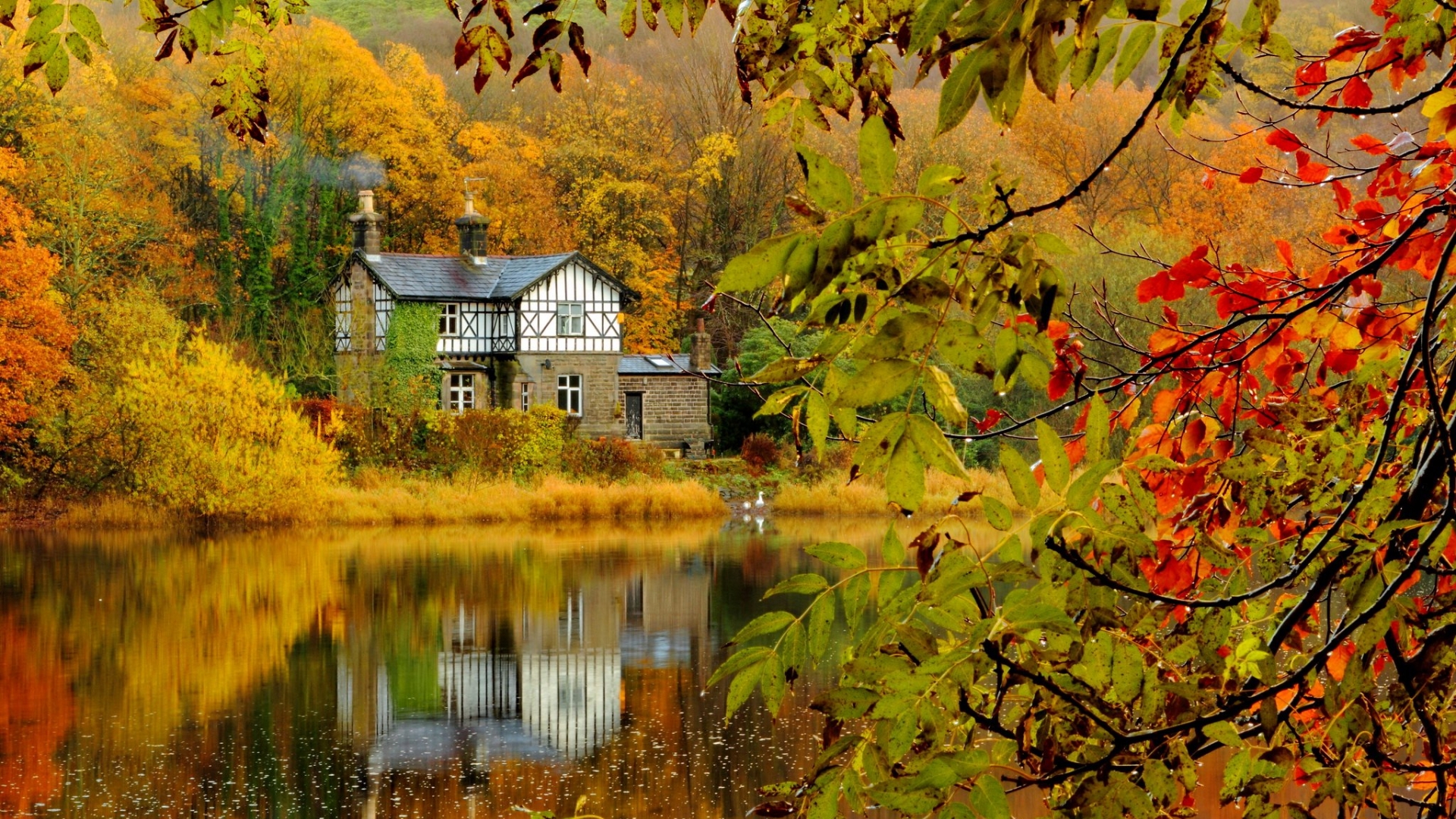 autumn Fall forest house lake landscape leaf leaves nature