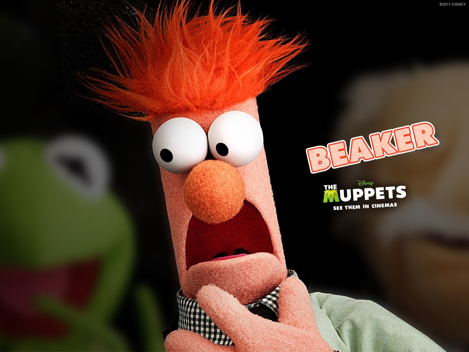 The Muppets HD Wallpaper and Background