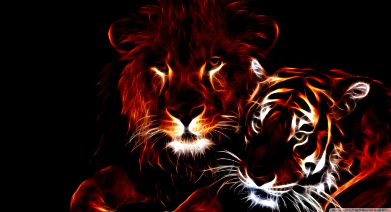 Lion and Tiger Wallpaper Free Lion and Tiger Background