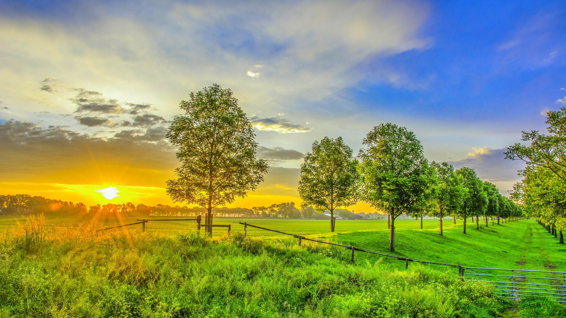 Nature Sunrise Field Green Grass Trees Sky HD Wallpaper