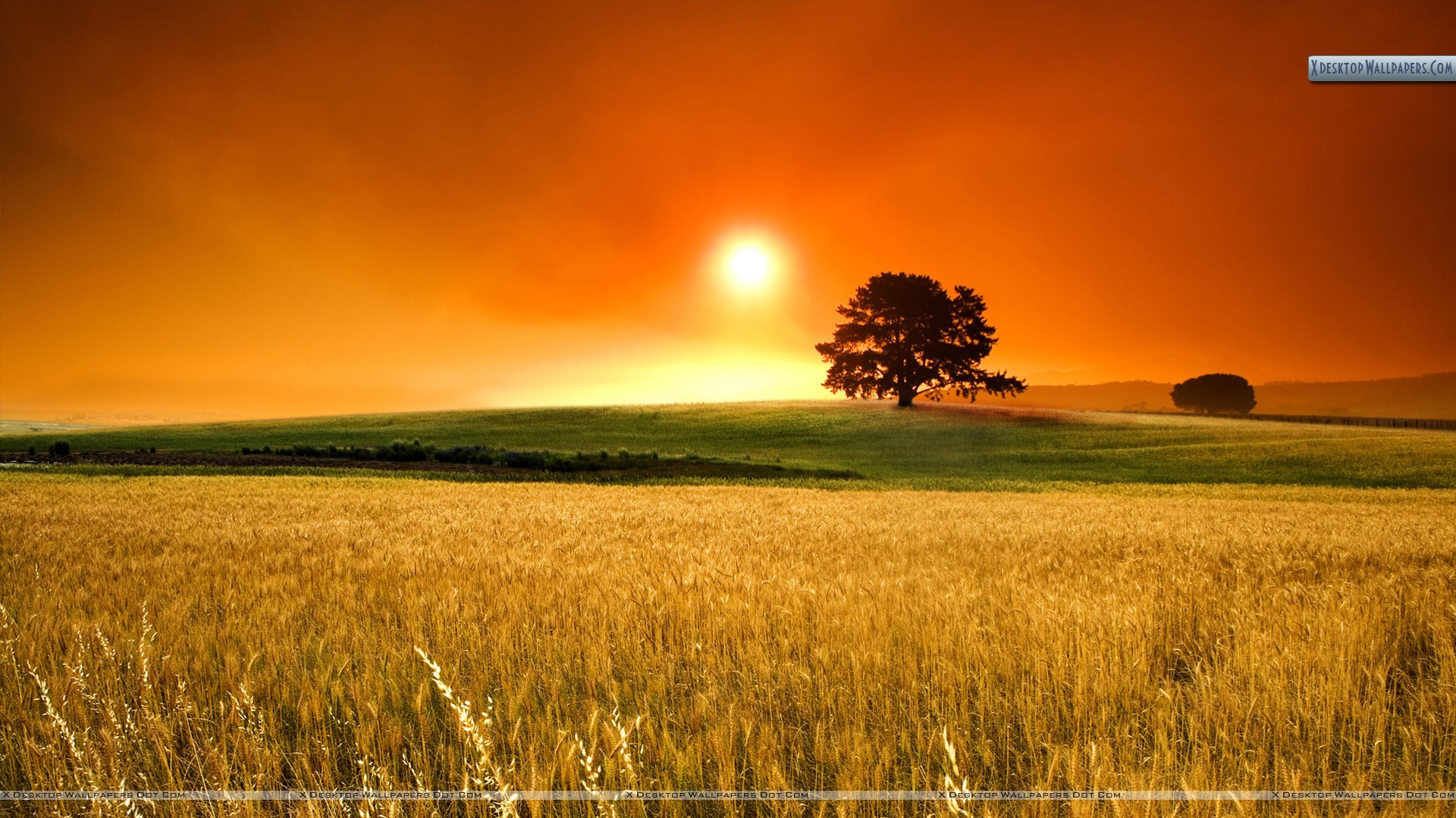 Sunrise Wallpaper, Photo & Image in HD