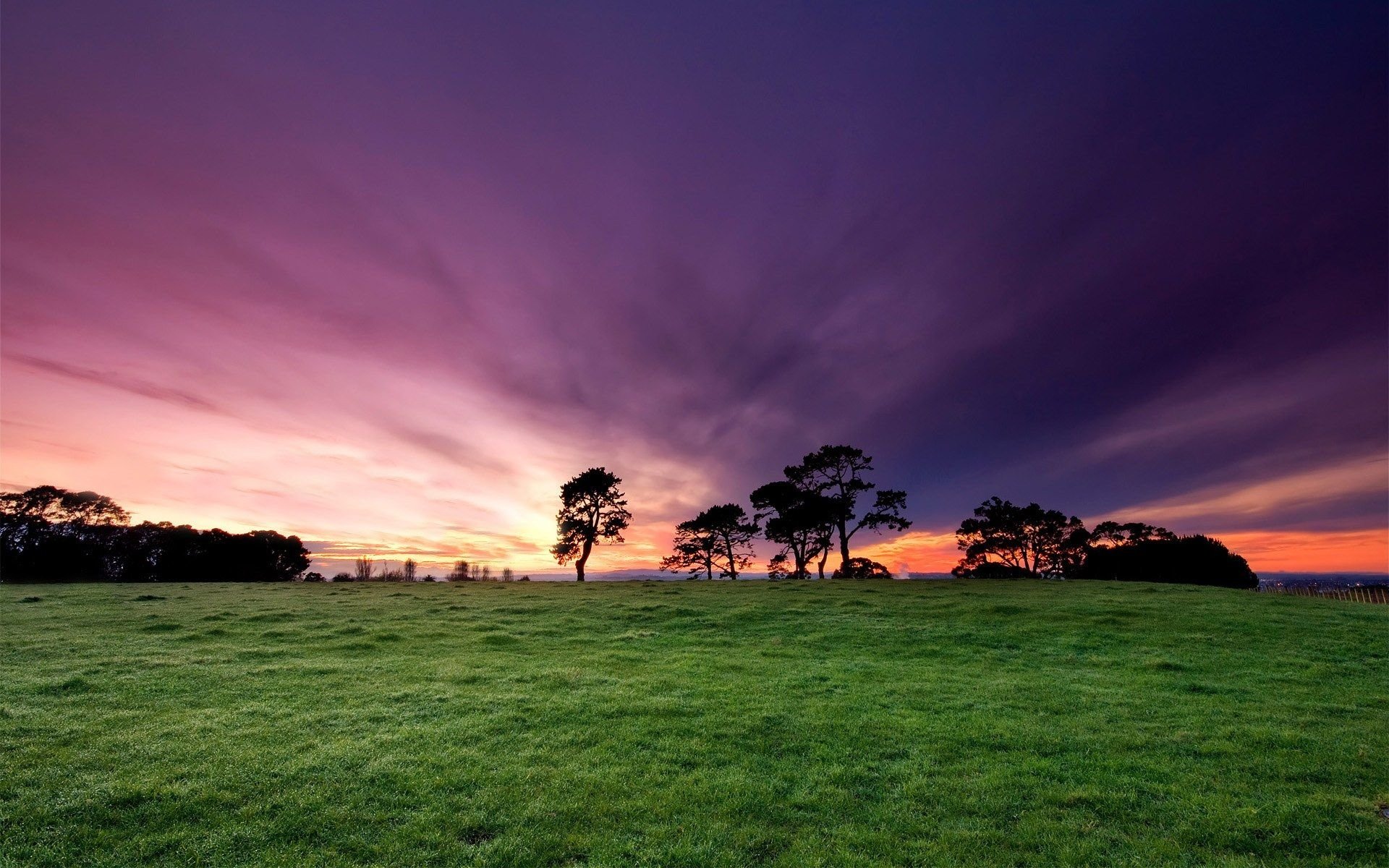 stunning sunrise over an open field