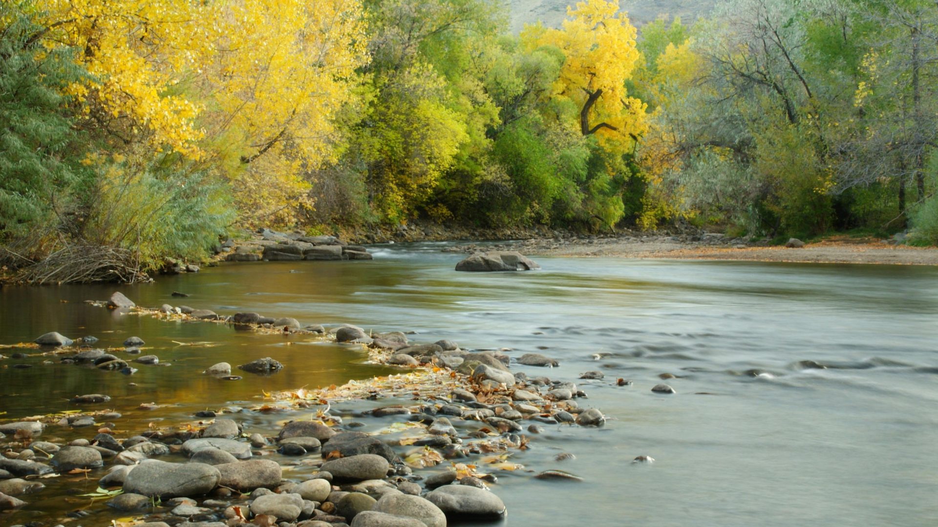 Fall Color Colorful Trees Clear Creek Is A Tributary