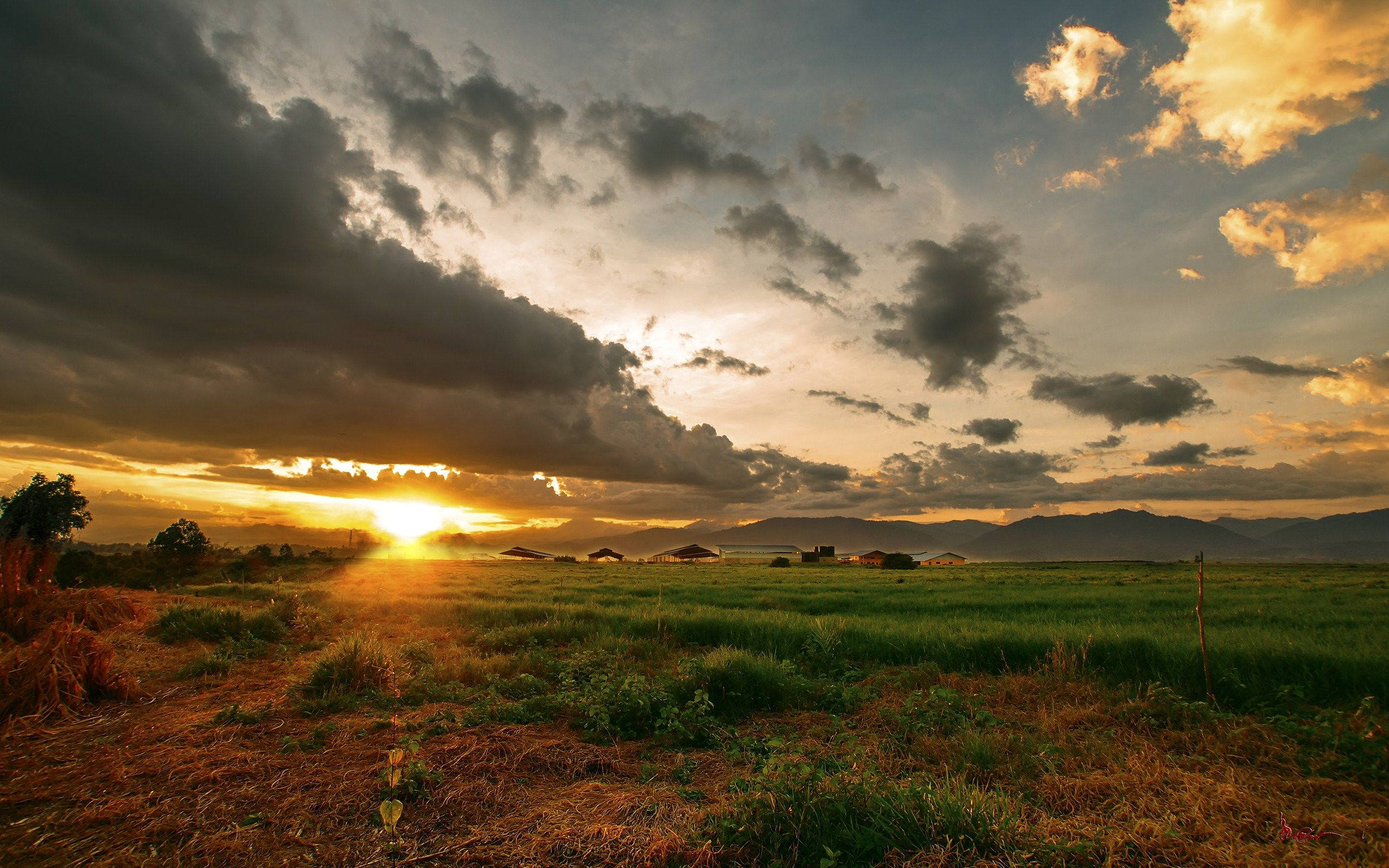 Download Rising Sun On Grassy Field Wallpaper