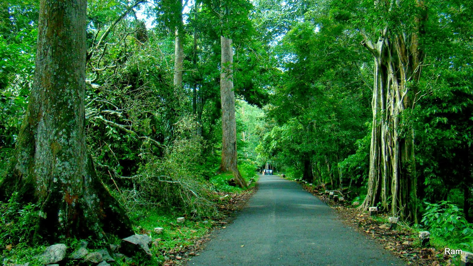 Gavi Latest Image Gavi Kerala Latest Image Gavi Photo