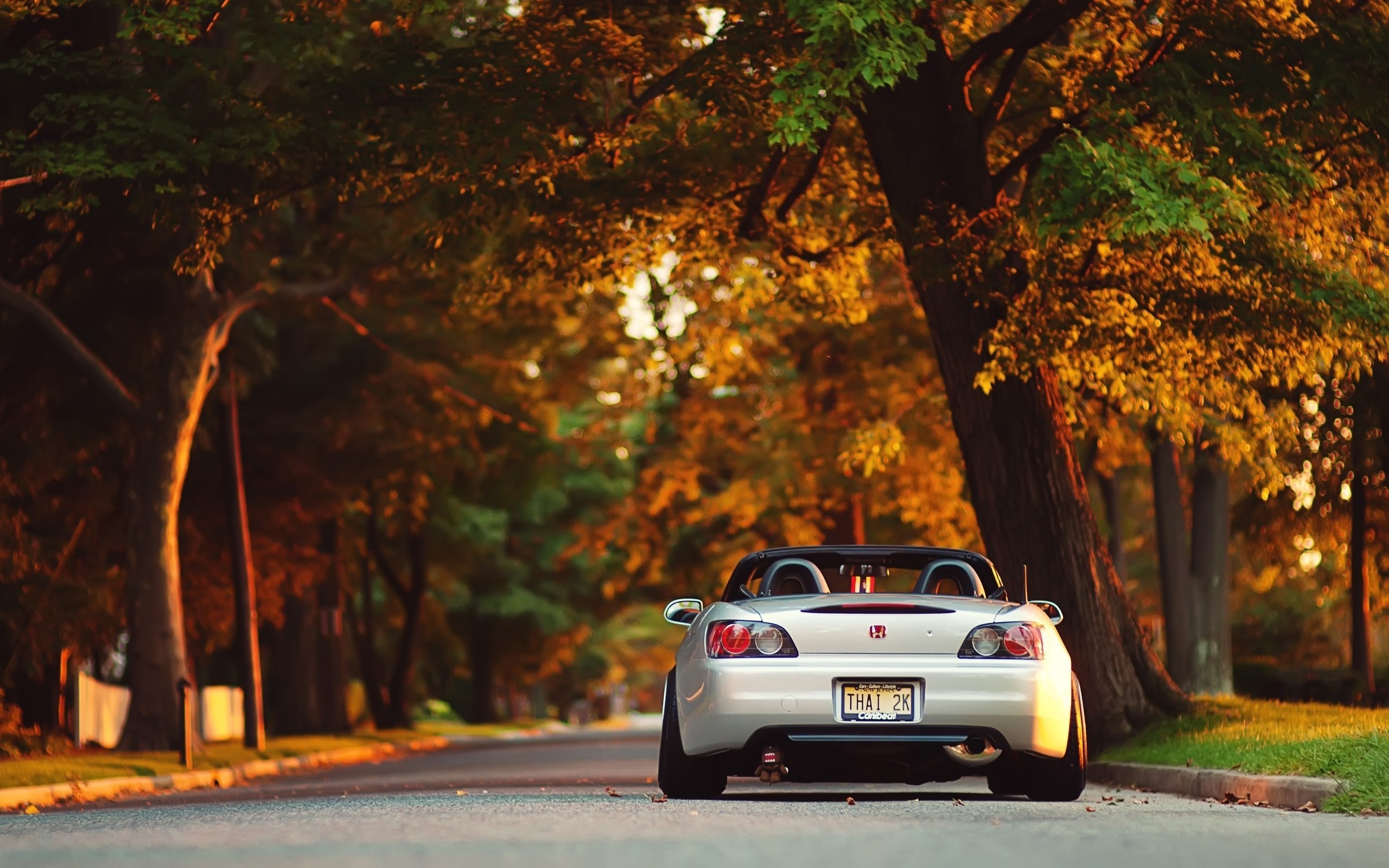 car, Convertible, Honda, Park, Road, Trees, Fall, S2000, Honda S2000, Evening Wallpaper HD / Desktop and Mobile Background