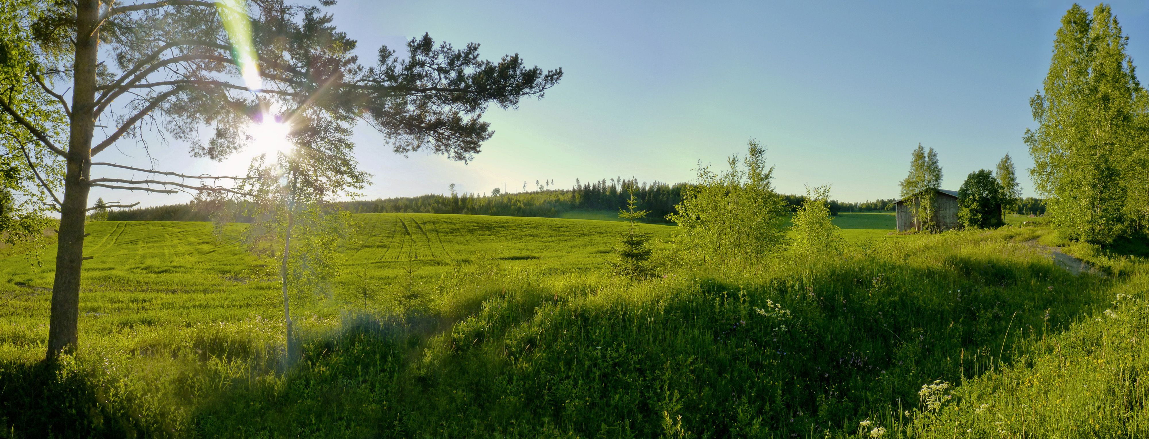 Green Fields Of Summer, Finland