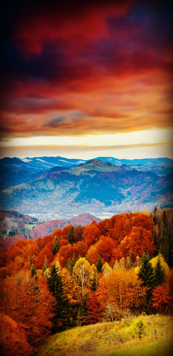 Autumn View. Fall wallpaper, iPhone wallpaper fall, Aesthetic wallpaper