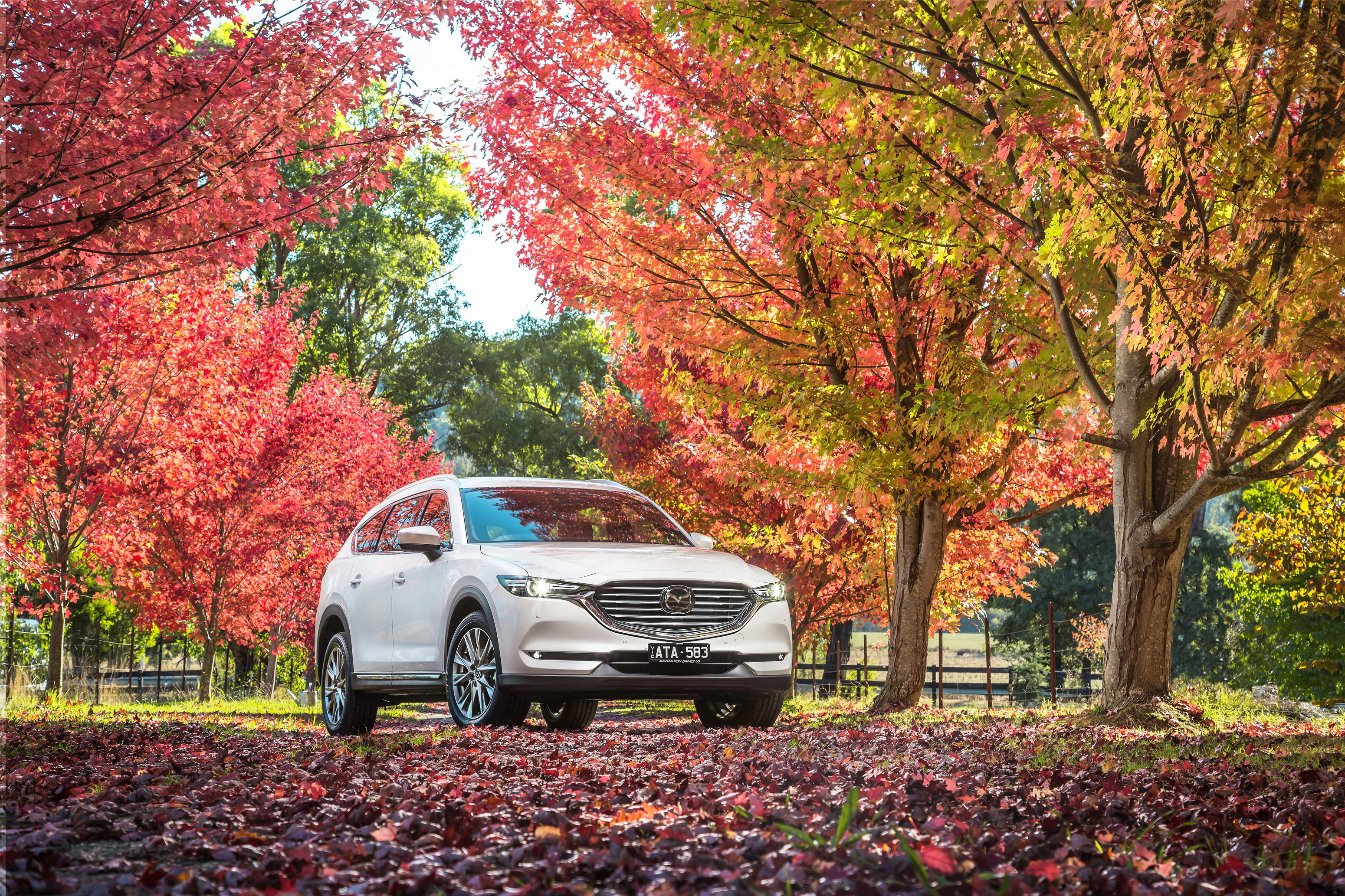 Wallpaper White Car Mazda In The Autumn Park On Desktop.com Wallpaper, Picture, Image!