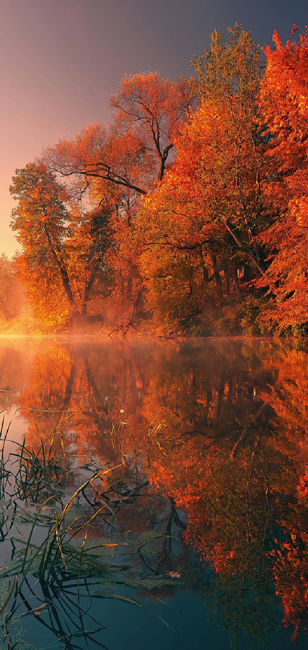 ᐈAutumn iPhone Wallpaper { 4k & HD }