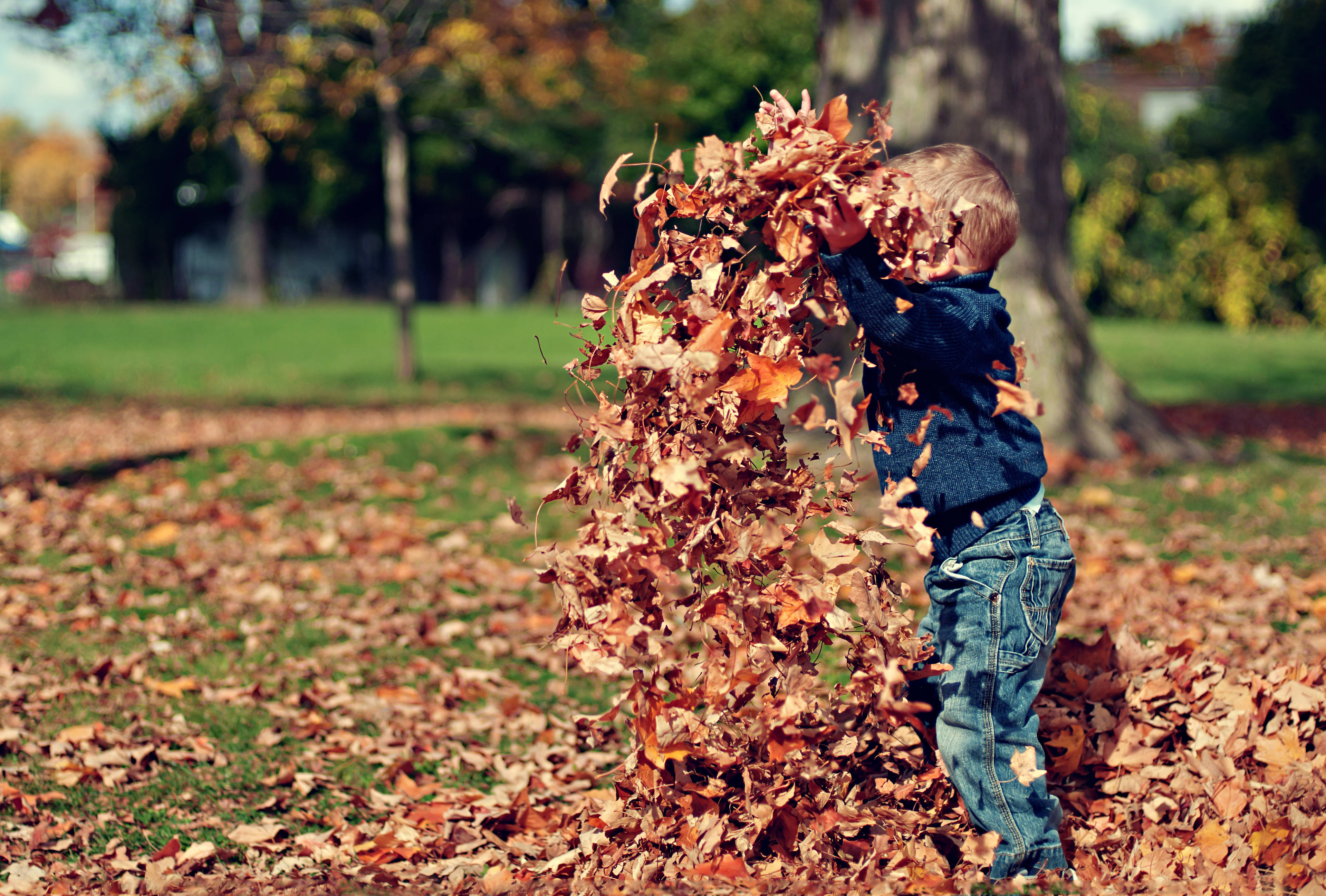 Download Child Playing During Fall Wallpaper