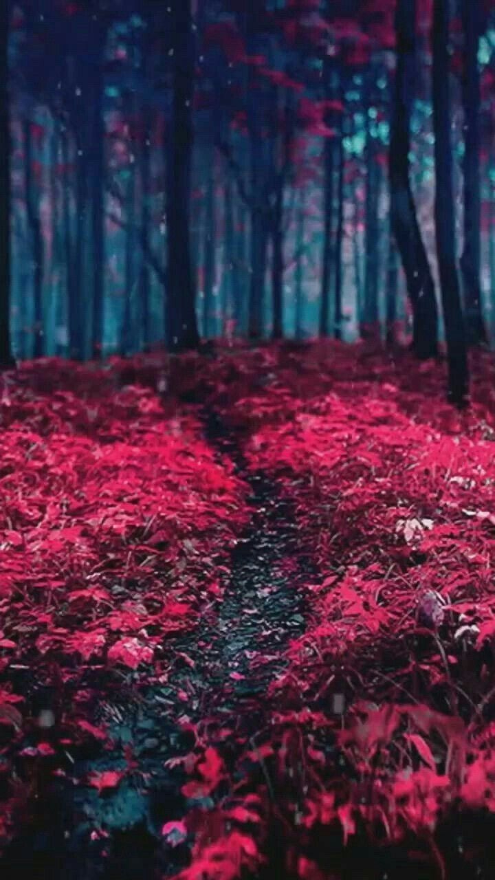 Travel. iPhone wallpaper scenery, Live wallpaper, Beautiful nature wallpaper