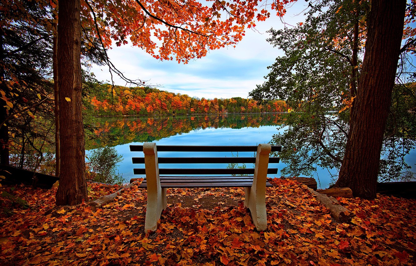 Wallpaper autumn, forest, the sky, leaves, water, trees, bench, nature, reflection, river, view, hdr, walk, forest, river, sky image for desktop, section природа