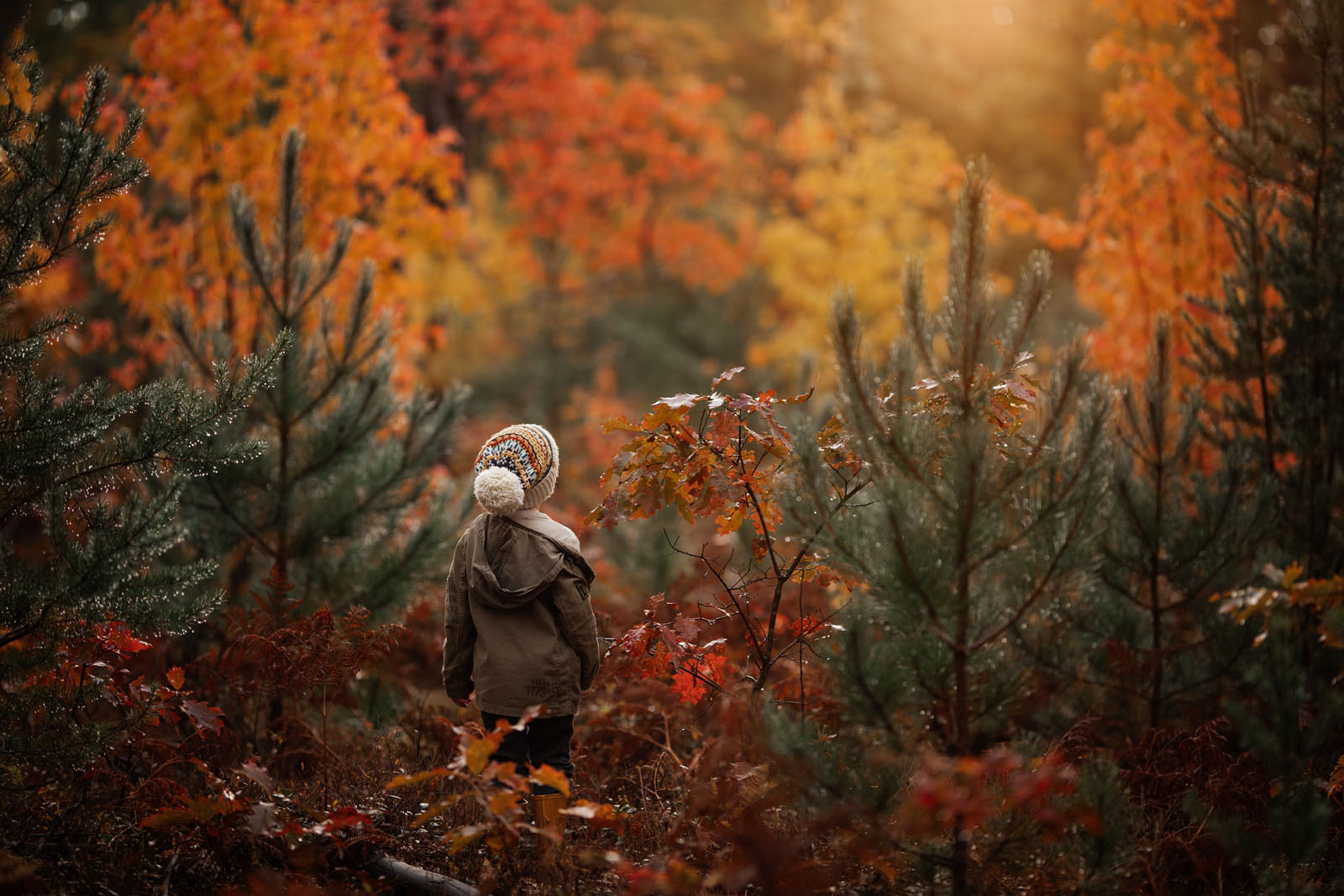 Fall Activities To Do With Your Kids That Are Totally Photo Worthy