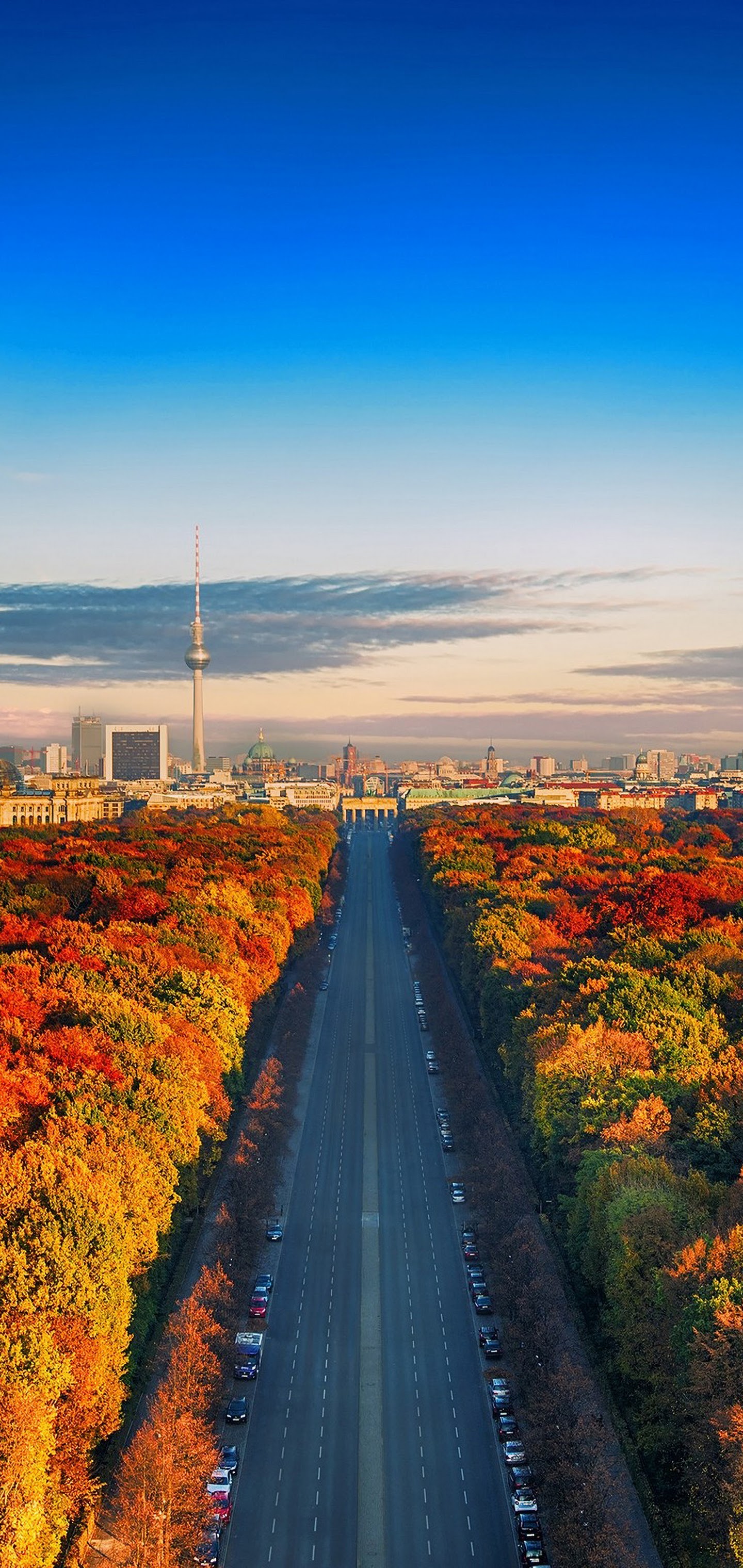 City Nature Landscape Forest Trees Autumn Sky Scenery 4K Wallpaper