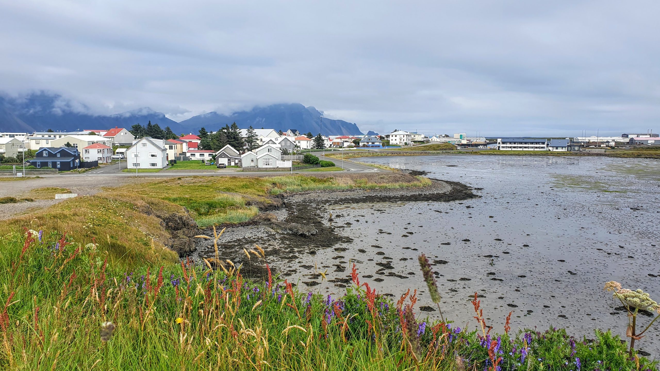 Enjoying Amazing Mountain Views and Wildlife At Hornafjörður