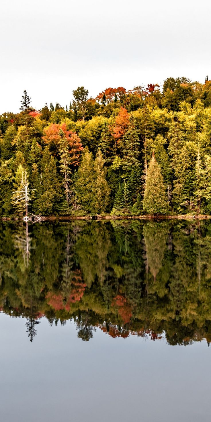 Canada, lake, autumn, tree, reflections, nature, 1080x2160 wallpaper. Nature, Autumn trees, Canada lakes